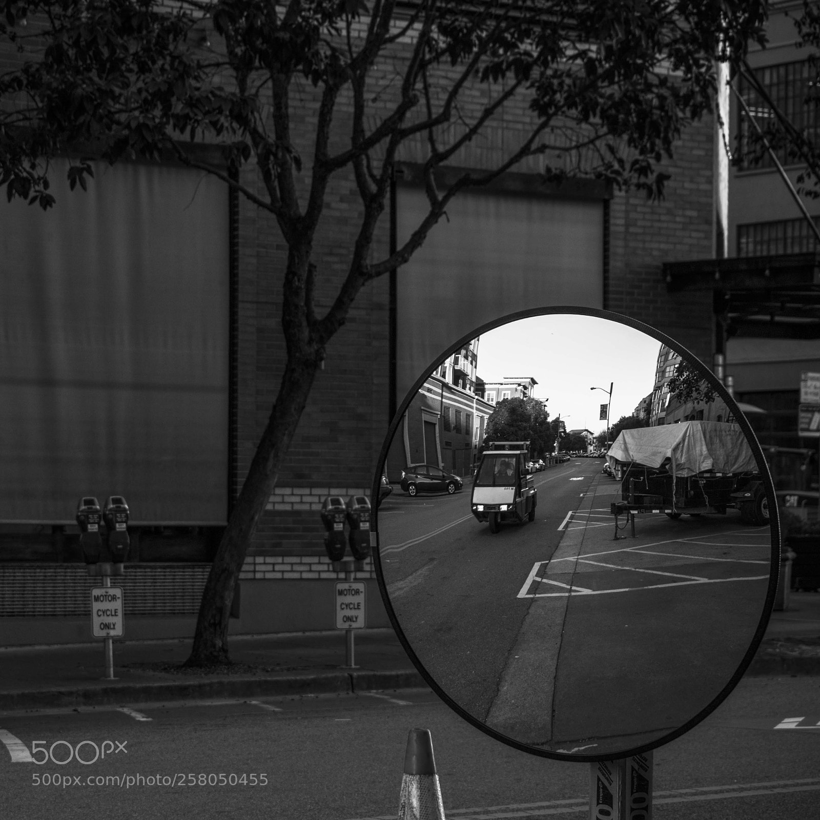 Nikon D5300 sample photo. Mirror photography