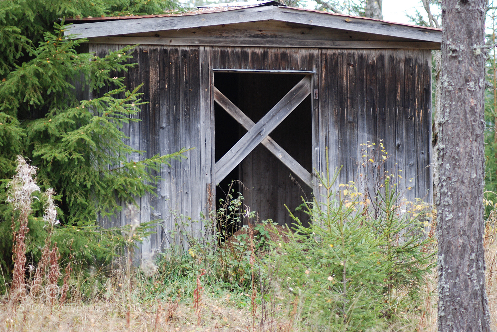 Nikon D80 sample photo. Abadoned photography
