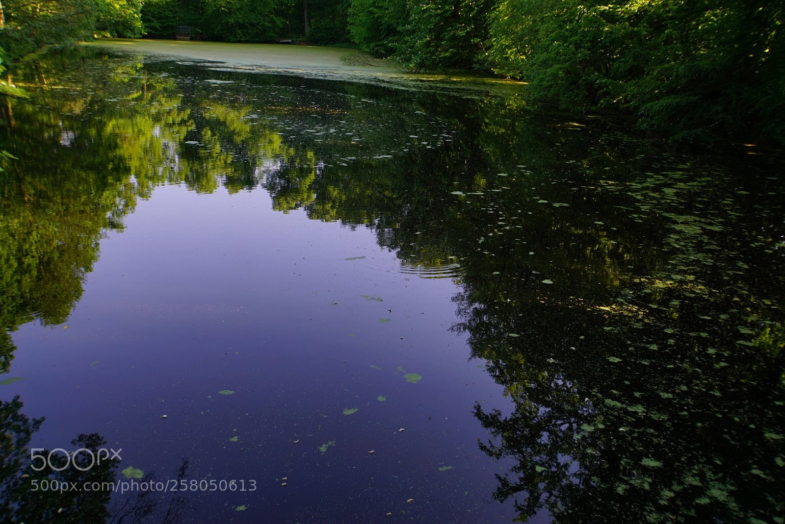 Sony a6000 sample photo. Again the alster photography