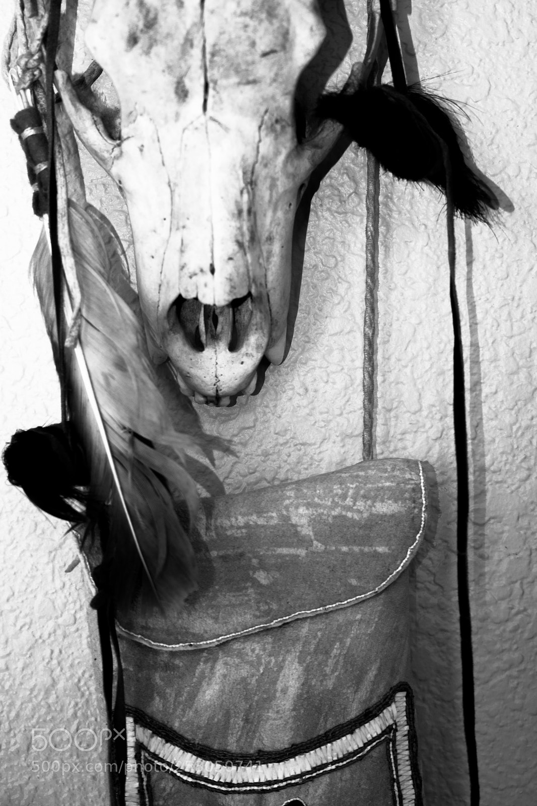 Nikon D3400 sample photo. Bear skull photography