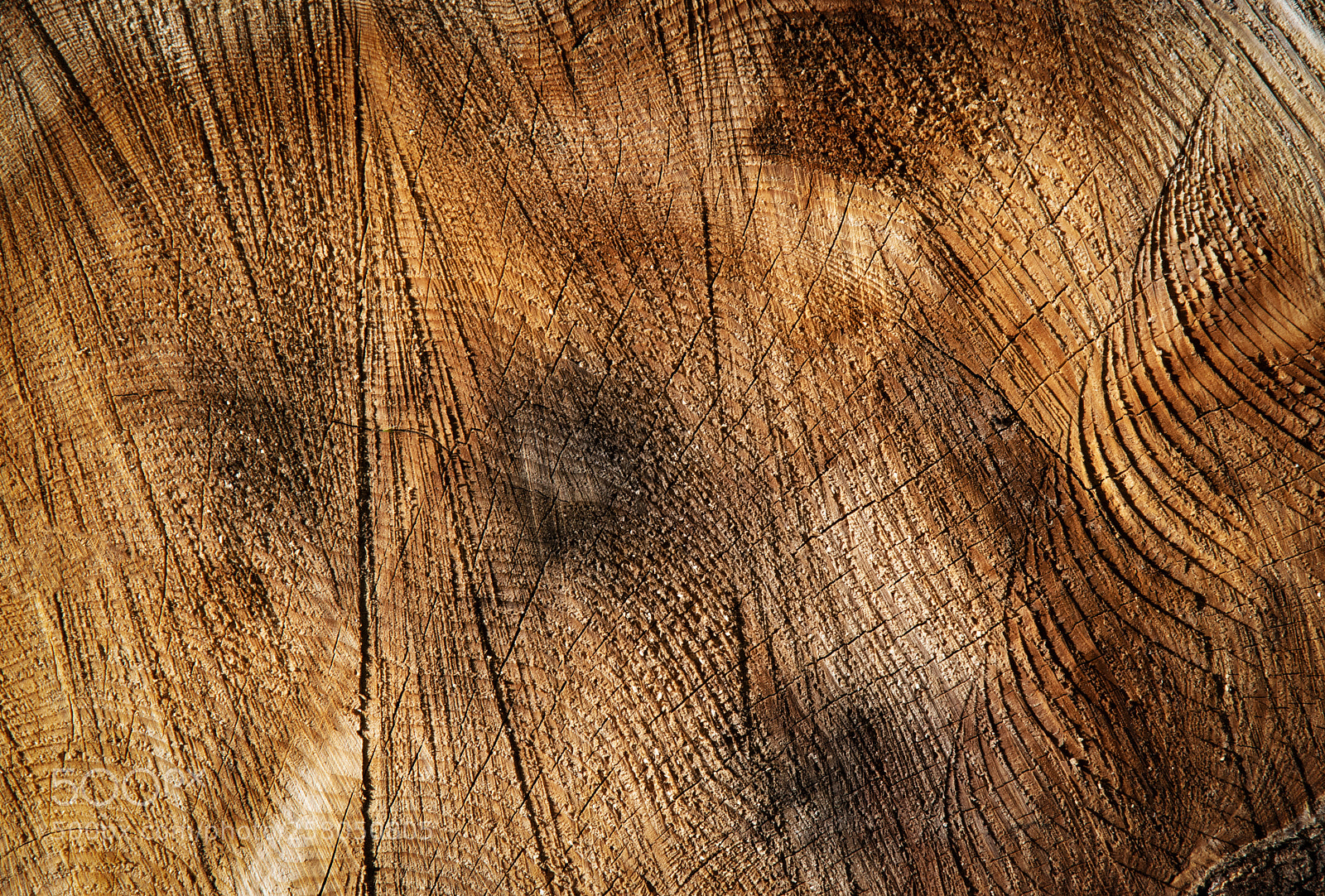 Nikon D5500 sample photo. Groove on the cut photography