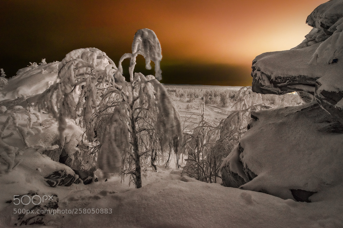 Nikon D600 sample photo. Wind on the mountain photography