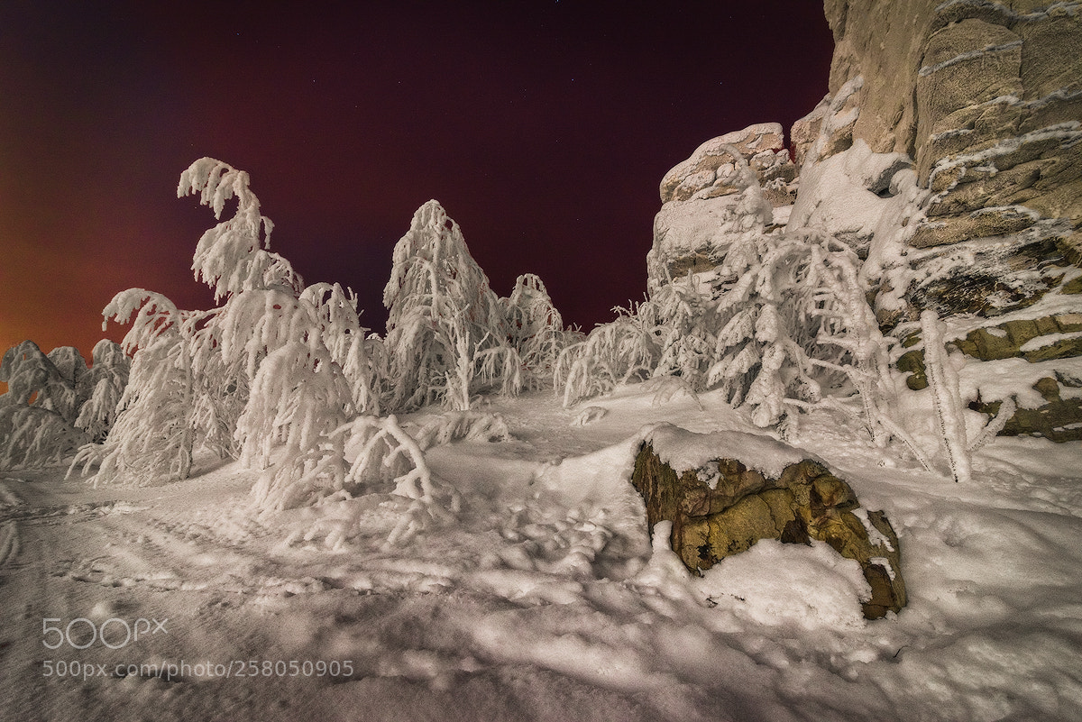 Nikon D600 sample photo. Rocks in the snow photography