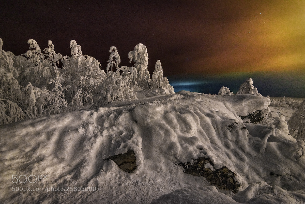Nikon D600 sample photo. Snow ghosts photography