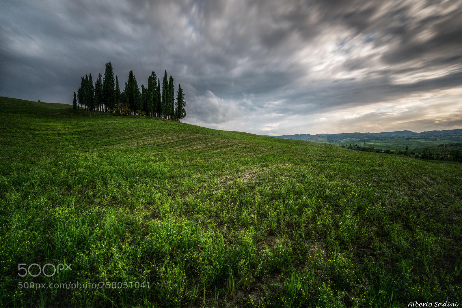 Nikon D750 sample photo. Cipressi di san quirico photography