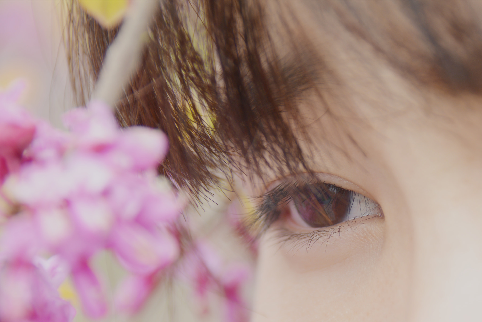 Nikon D7100 sample photo