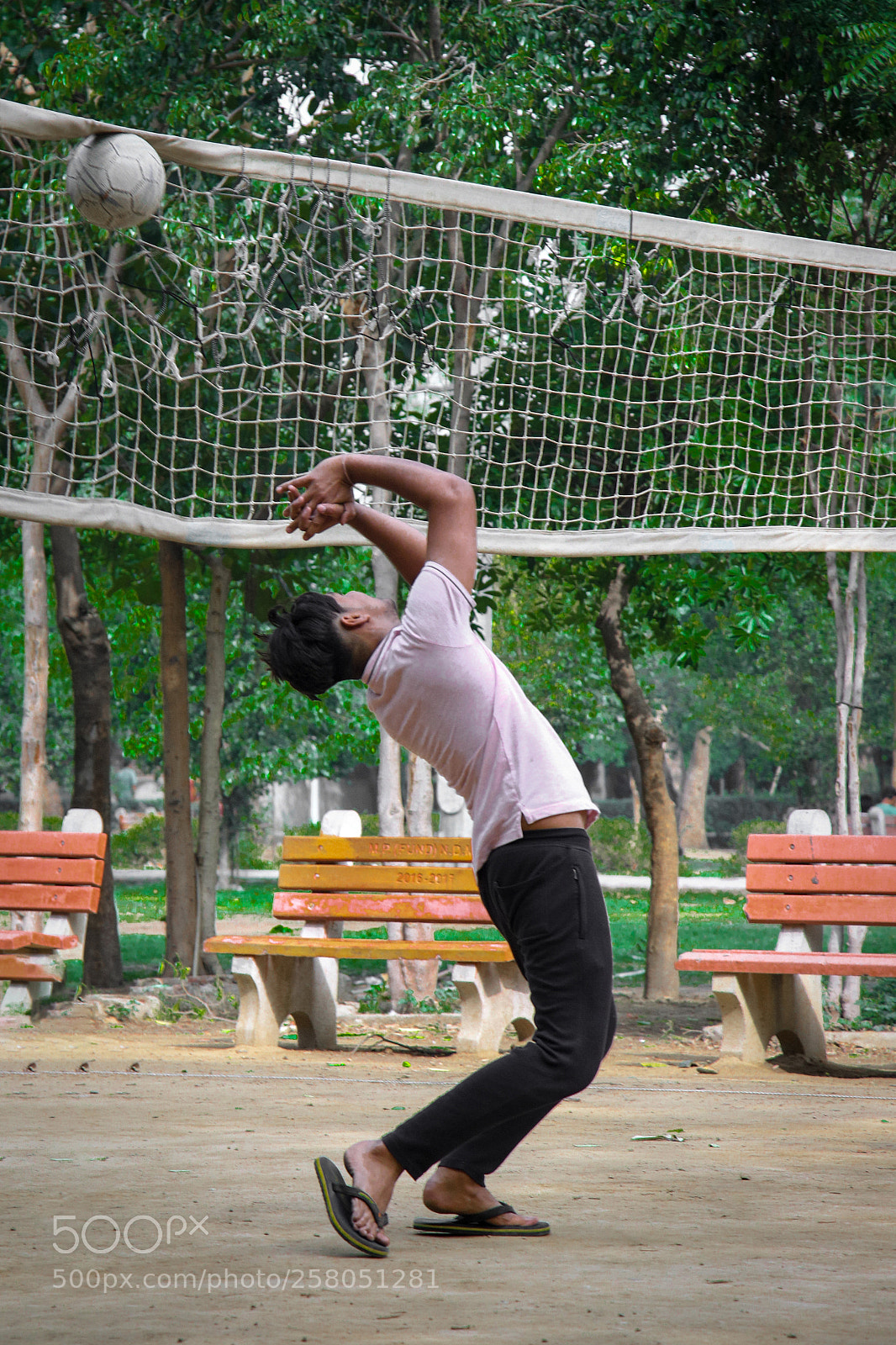 Canon EOS 6D Mark II sample photo. Img photography