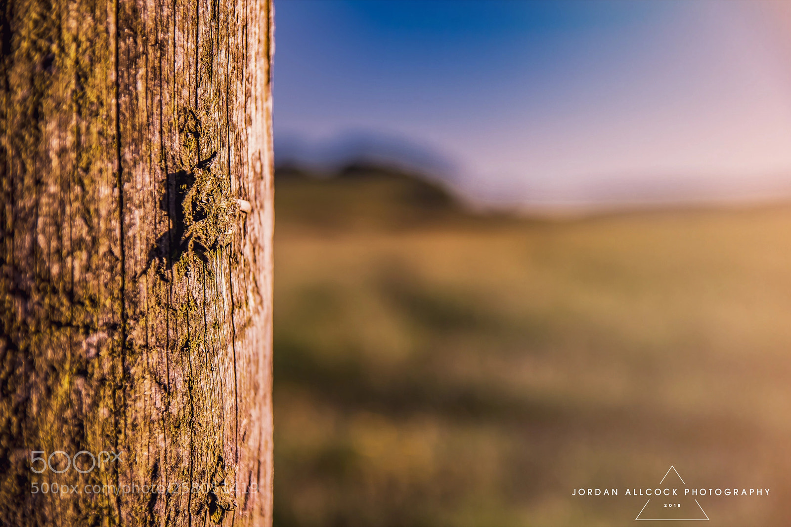 Nikon D5500 sample photo. Nature's beauty photography