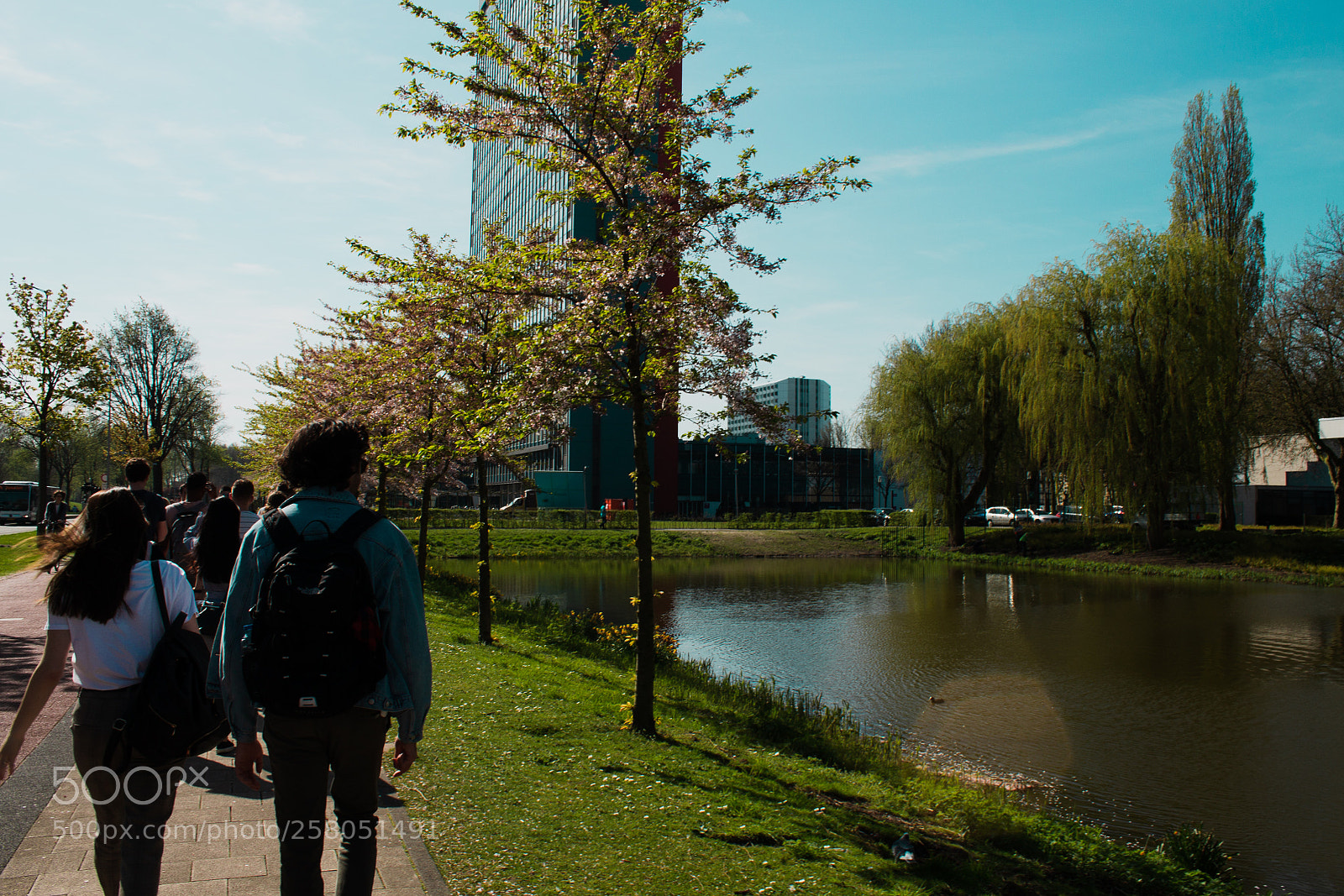 Canon EOS 1100D (EOS Rebel T3 / EOS Kiss X50) sample photo. Rotterdam photography
