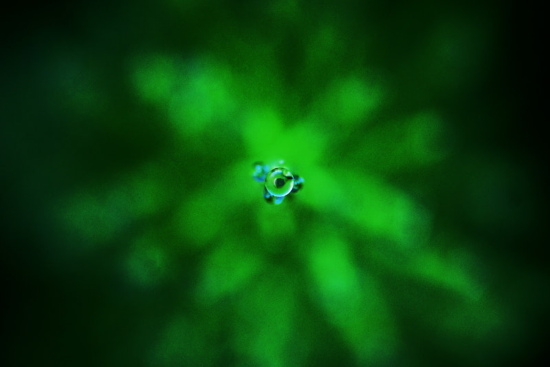 Tamron SP AF 90mm F2.8 Di Macro sample photo. An eye photography