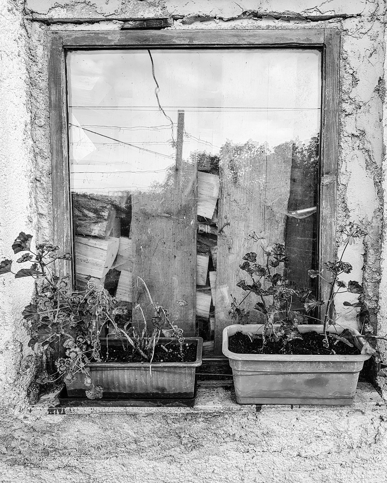 Samsung Galaxy S8 sample photo. Old window with flowers photography