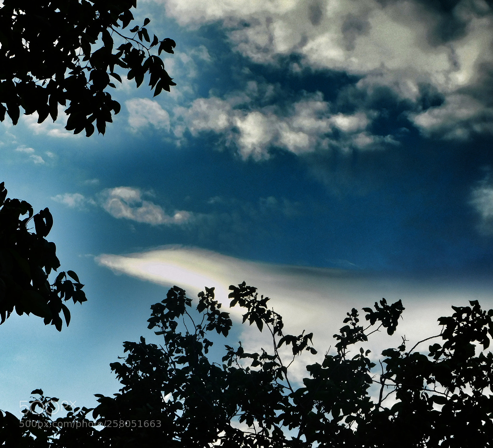 Nikon Coolpix B500 sample photo. Only the sky knows... photography