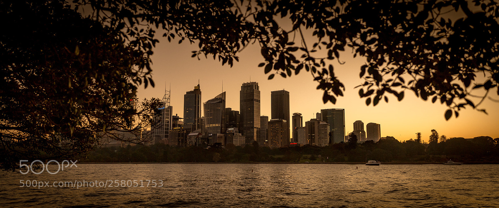 Canon EOS 6D sample photo. Sydney skyline i photography