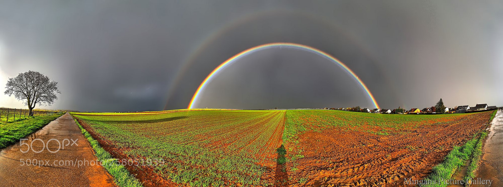 Olympus OM-D E-M5 II sample photo. Rainbow photography