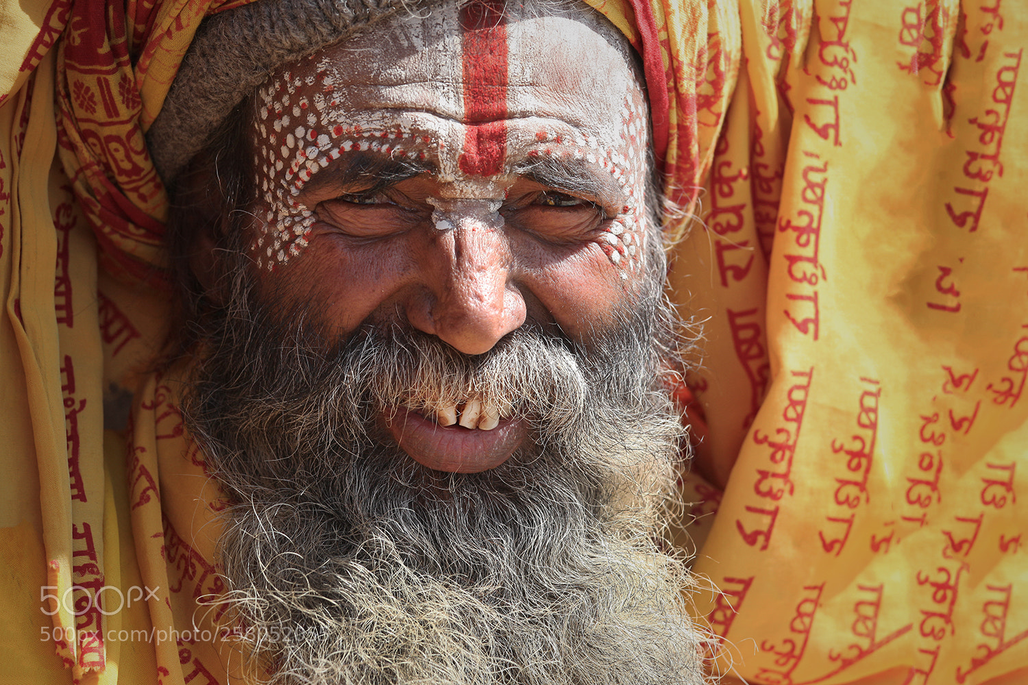 Canon EOS 5D Mark II sample photo. Yellow and red photography