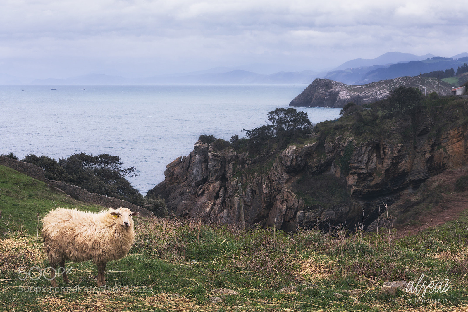 Nikon D7200 sample photo. Costa de bizkaia photography
