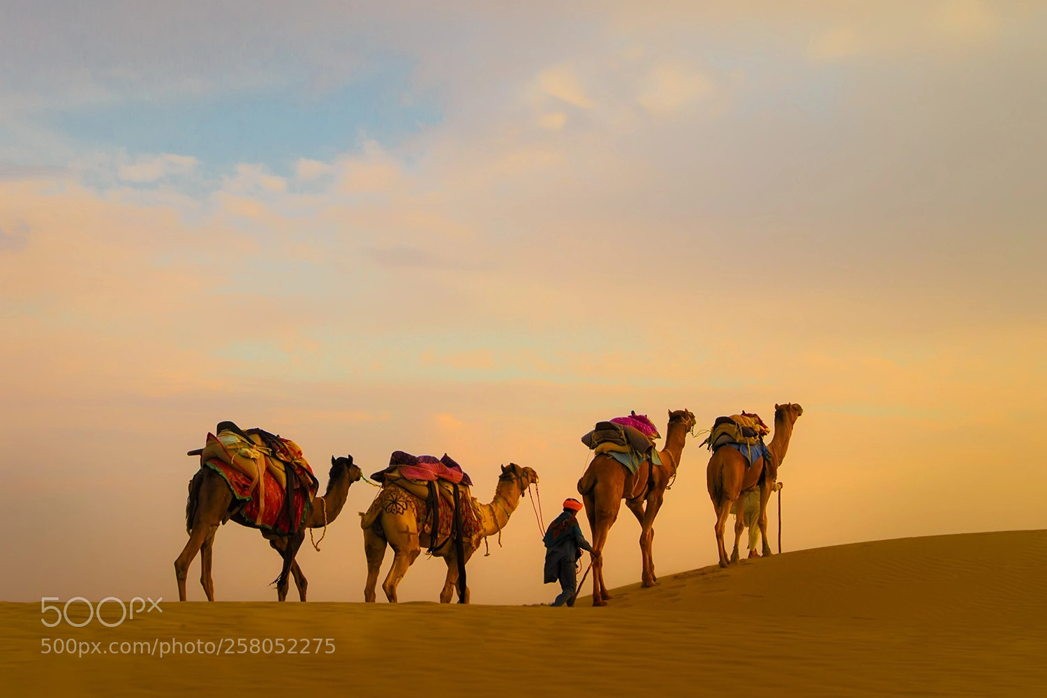 Canon EOS-1D X sample photo. India travel .. photography