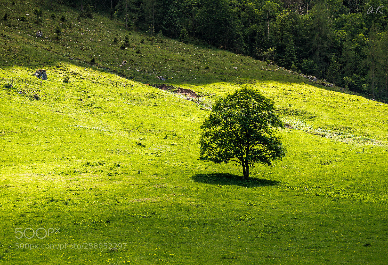 Sony SLT-A58 sample photo. Emerald valley photography