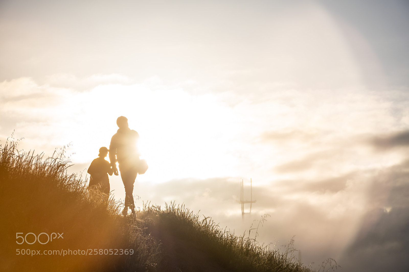 Nikon D5600 sample photo. Top of the hill photography