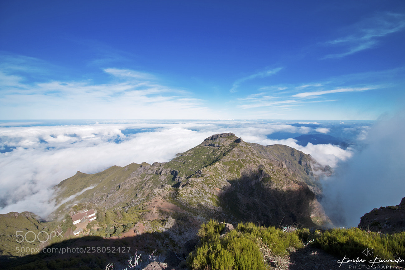 Canon EOS 70D sample photo. Pico ruivo photography
