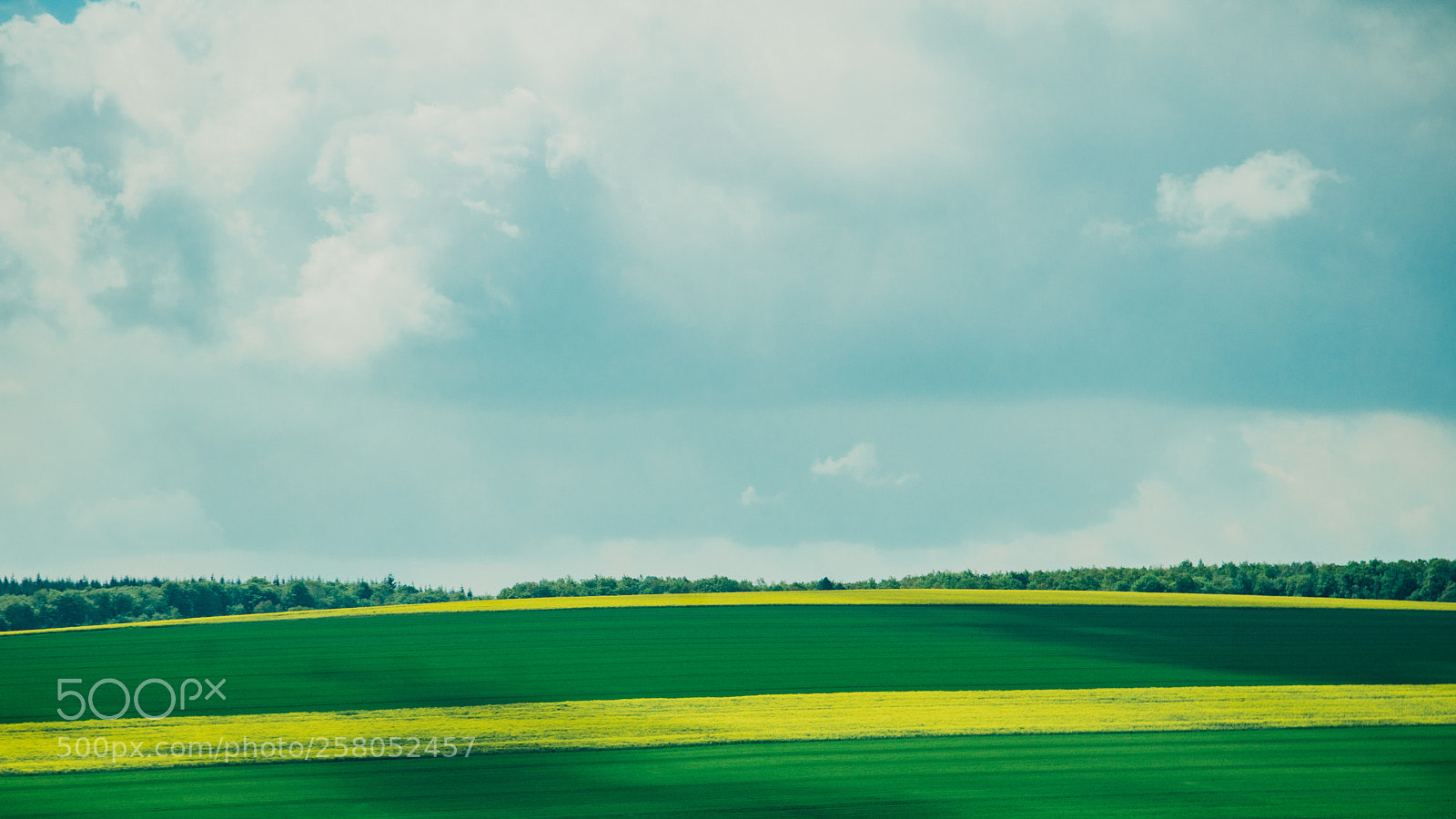 Sony a7R II sample photo. Untitled photography