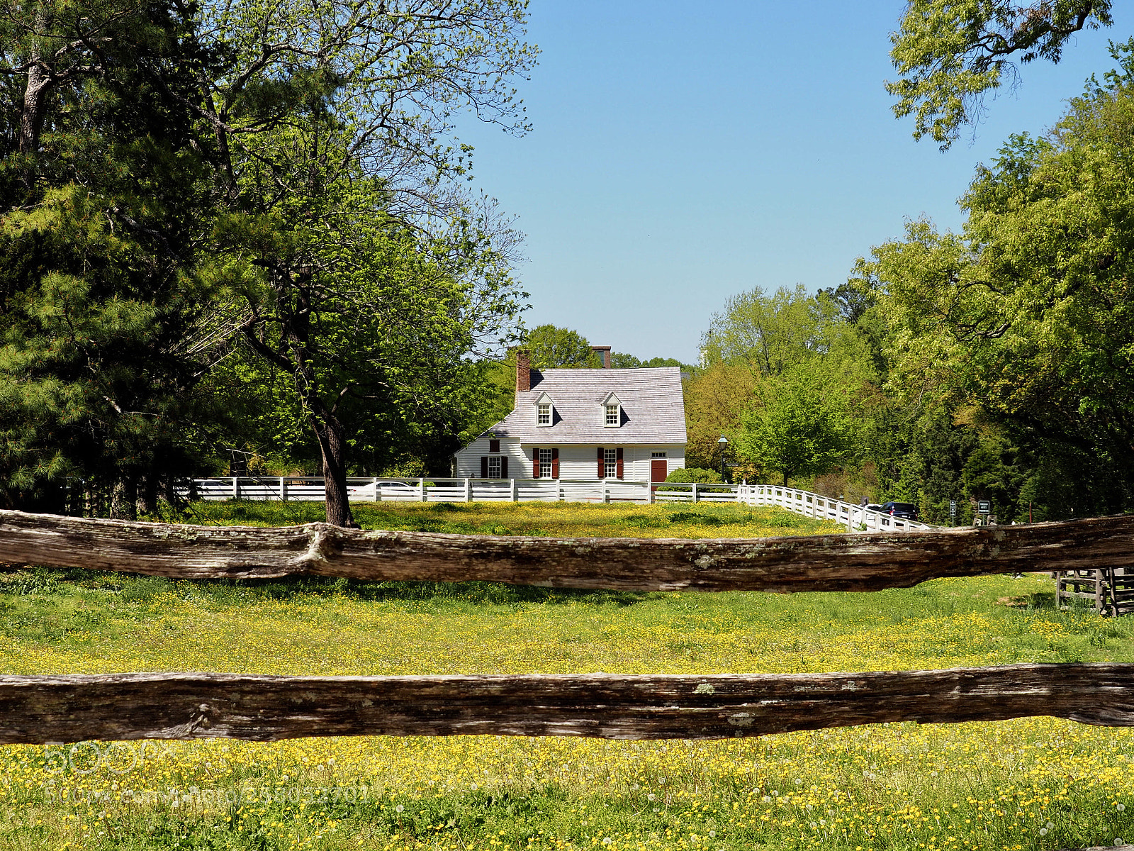 Olympus OM-D E-M10 II sample photo. A little house of photography