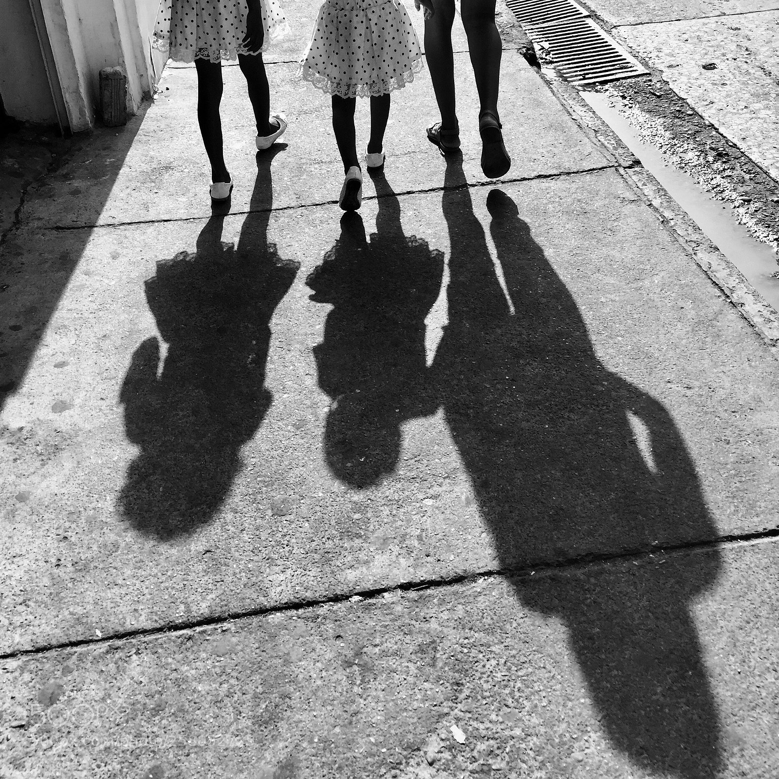 Apple iPhone 6 sample photo. Untitled photography