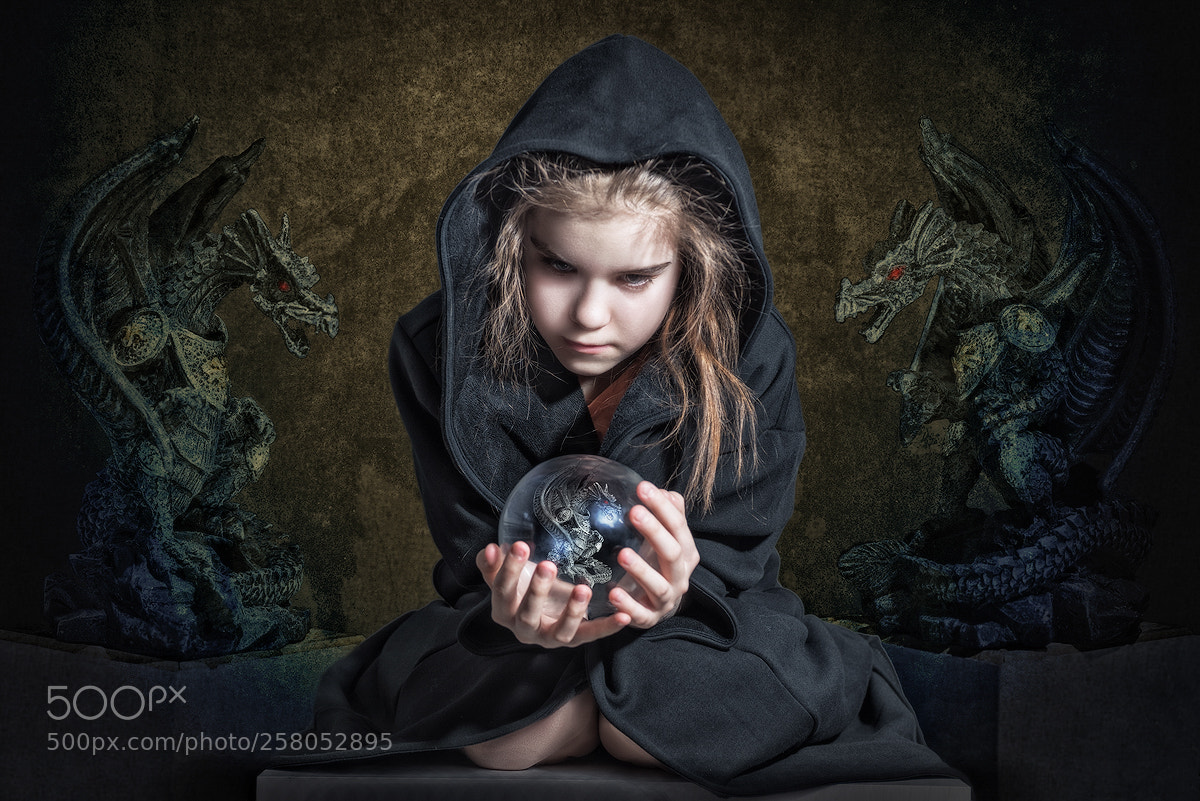 Nikon D600 sample photo. The last dragon photography