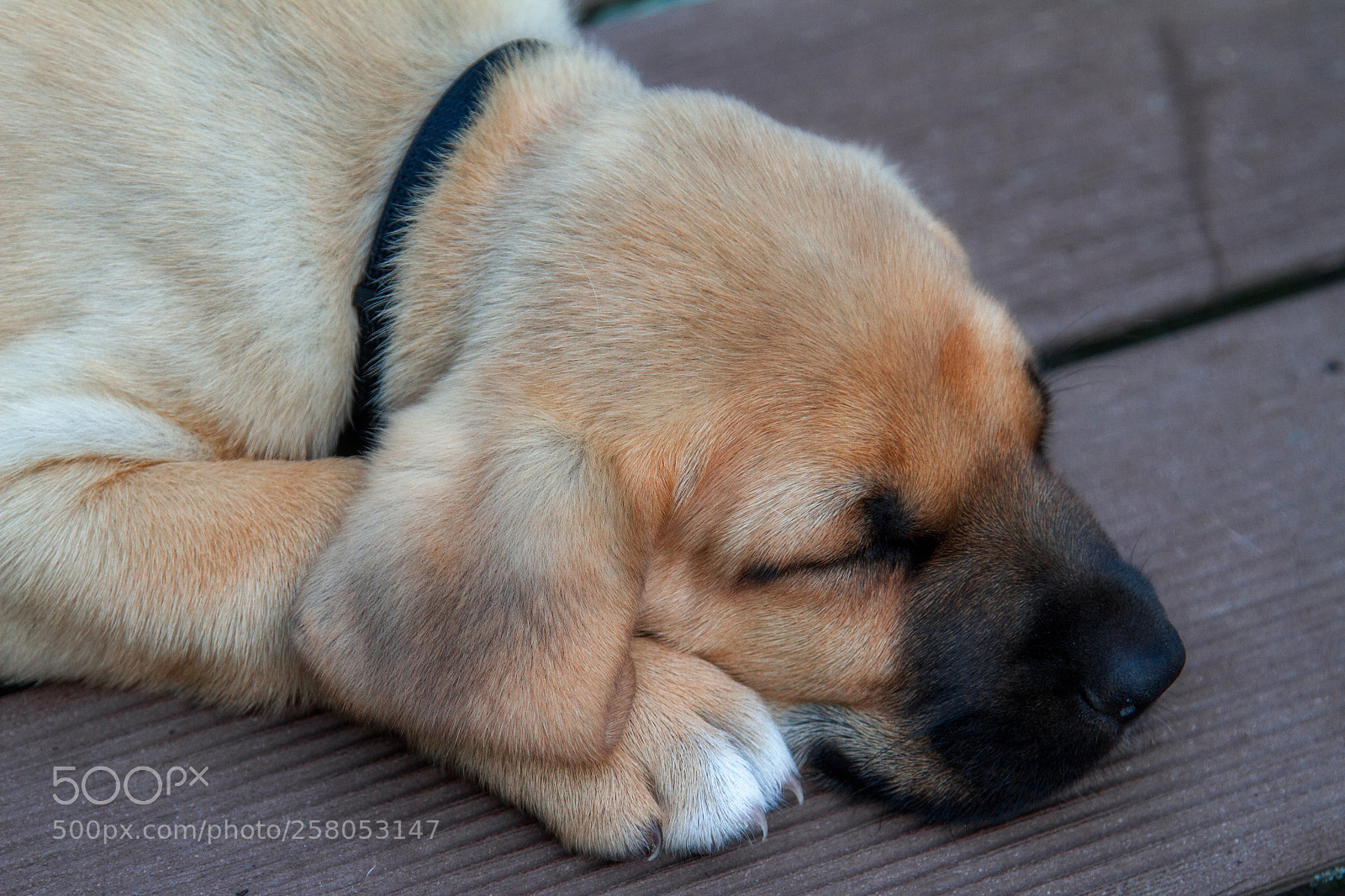 Canon EOS 7D sample photo. Broholmer baby photography