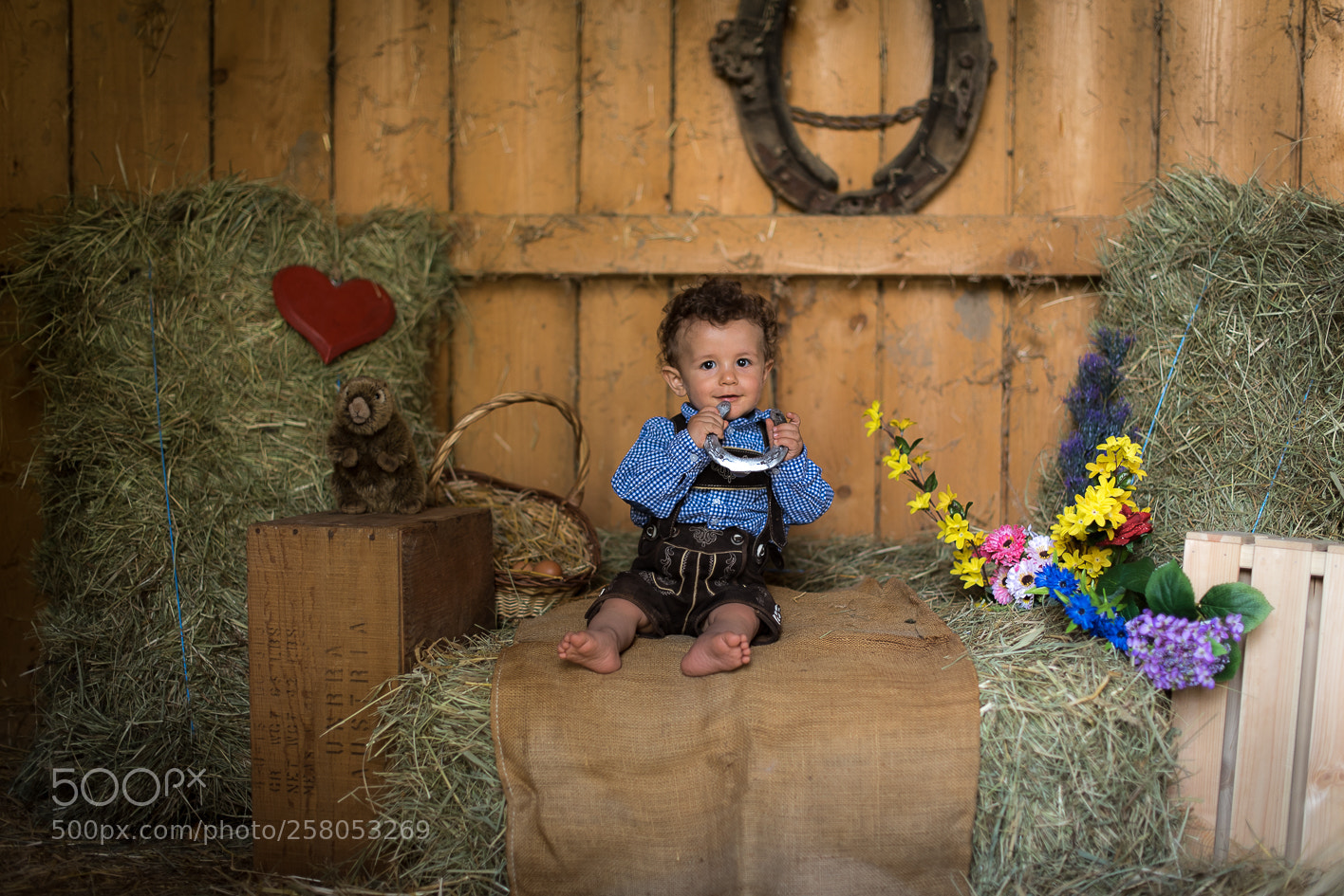 Nikon D750 sample photo. Little man photography