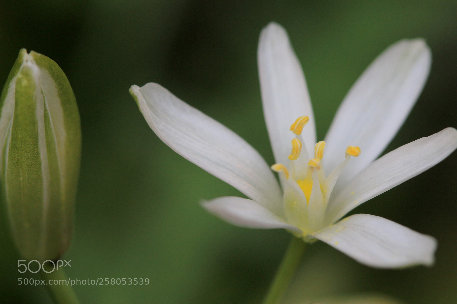 Canon EOS 70D sample photo. Expectation...... photography