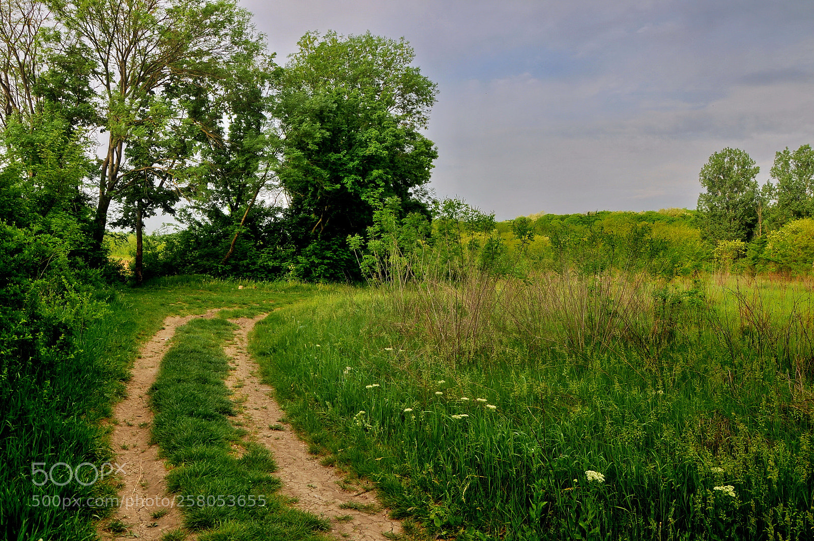 Nikon D90 sample photo. Countryside photography