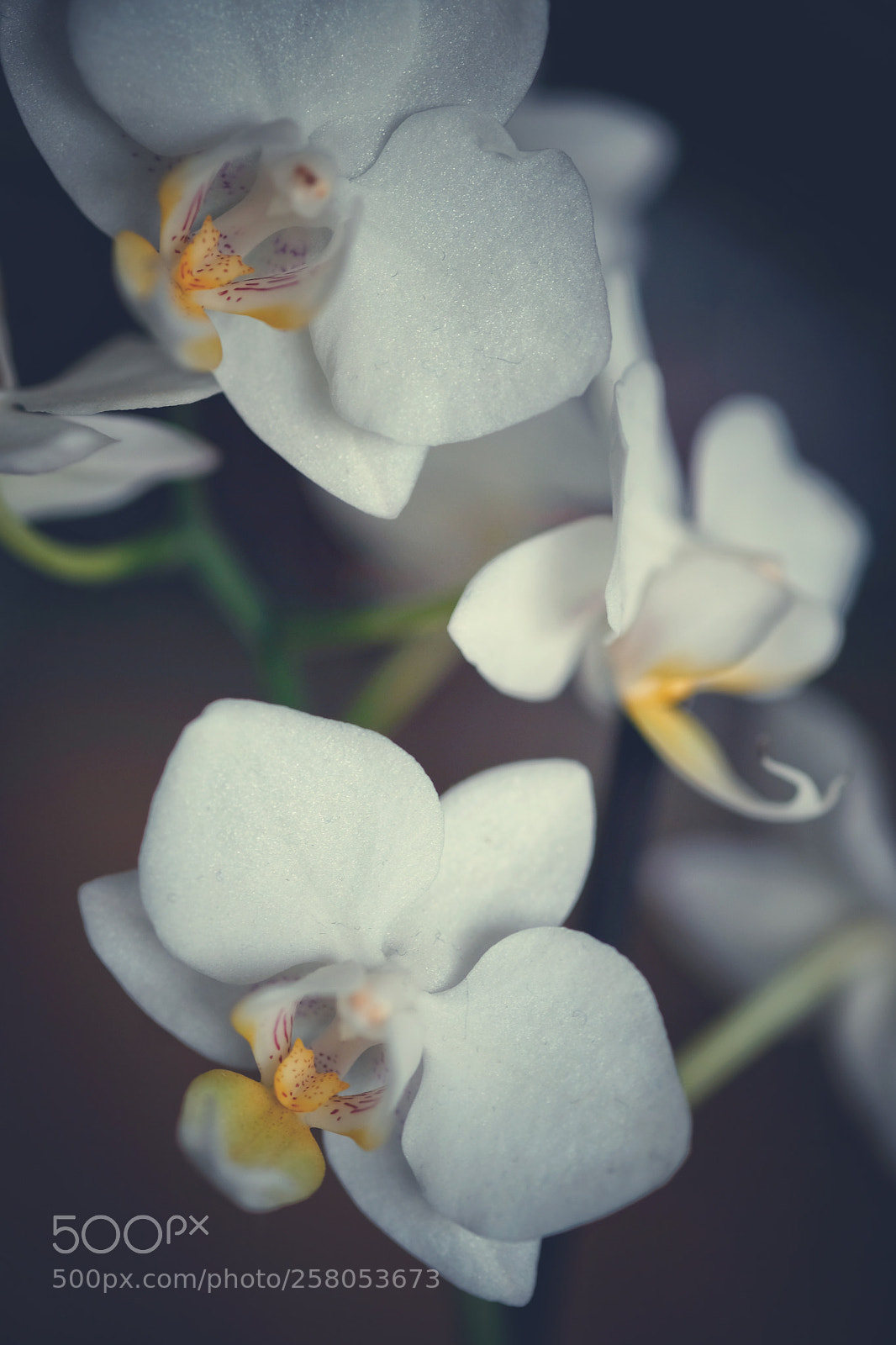 Fujifilm X-E3 sample photo. Retro photography