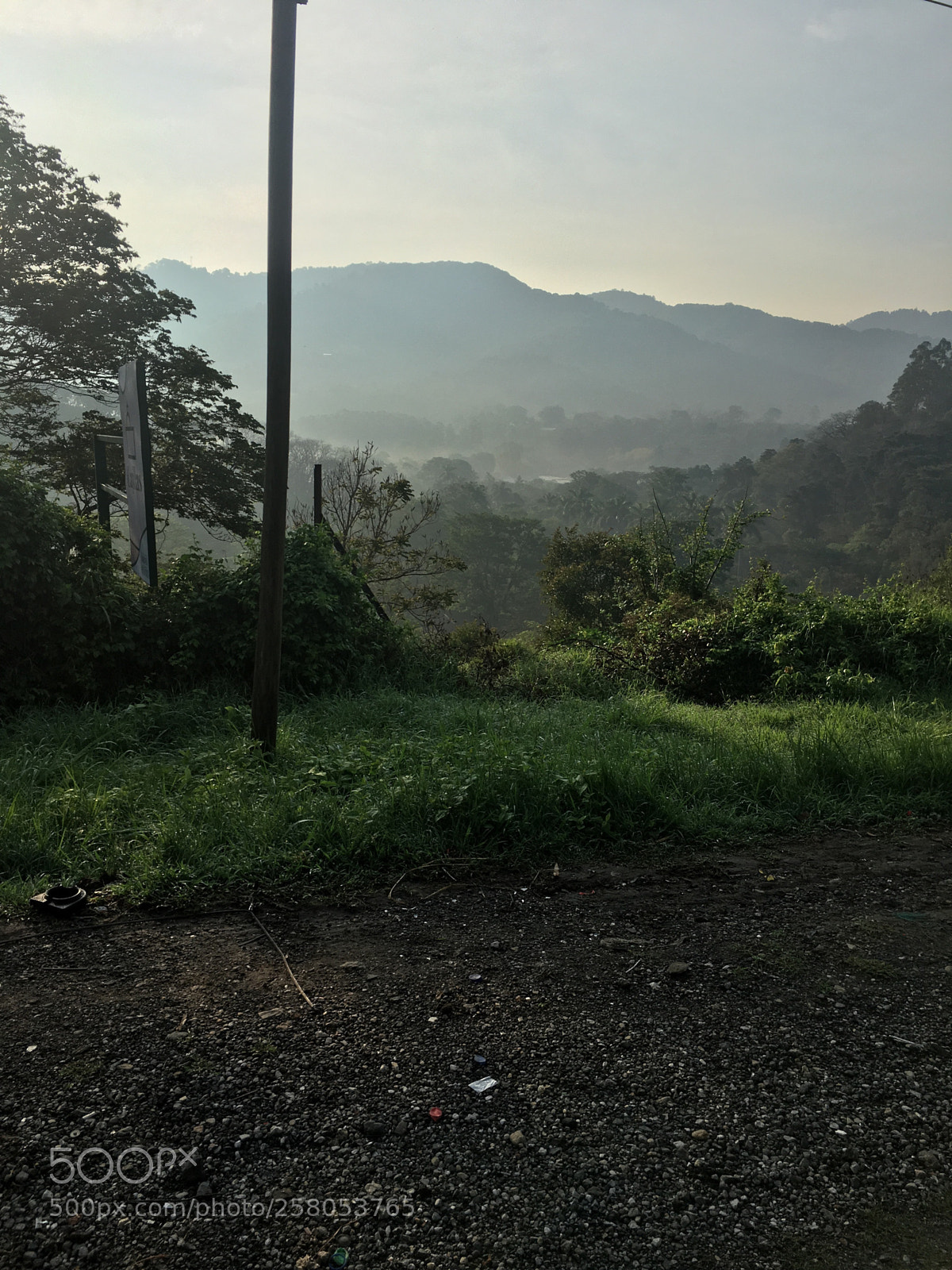 Apple iPhone 6s sample photo. Untitled photography