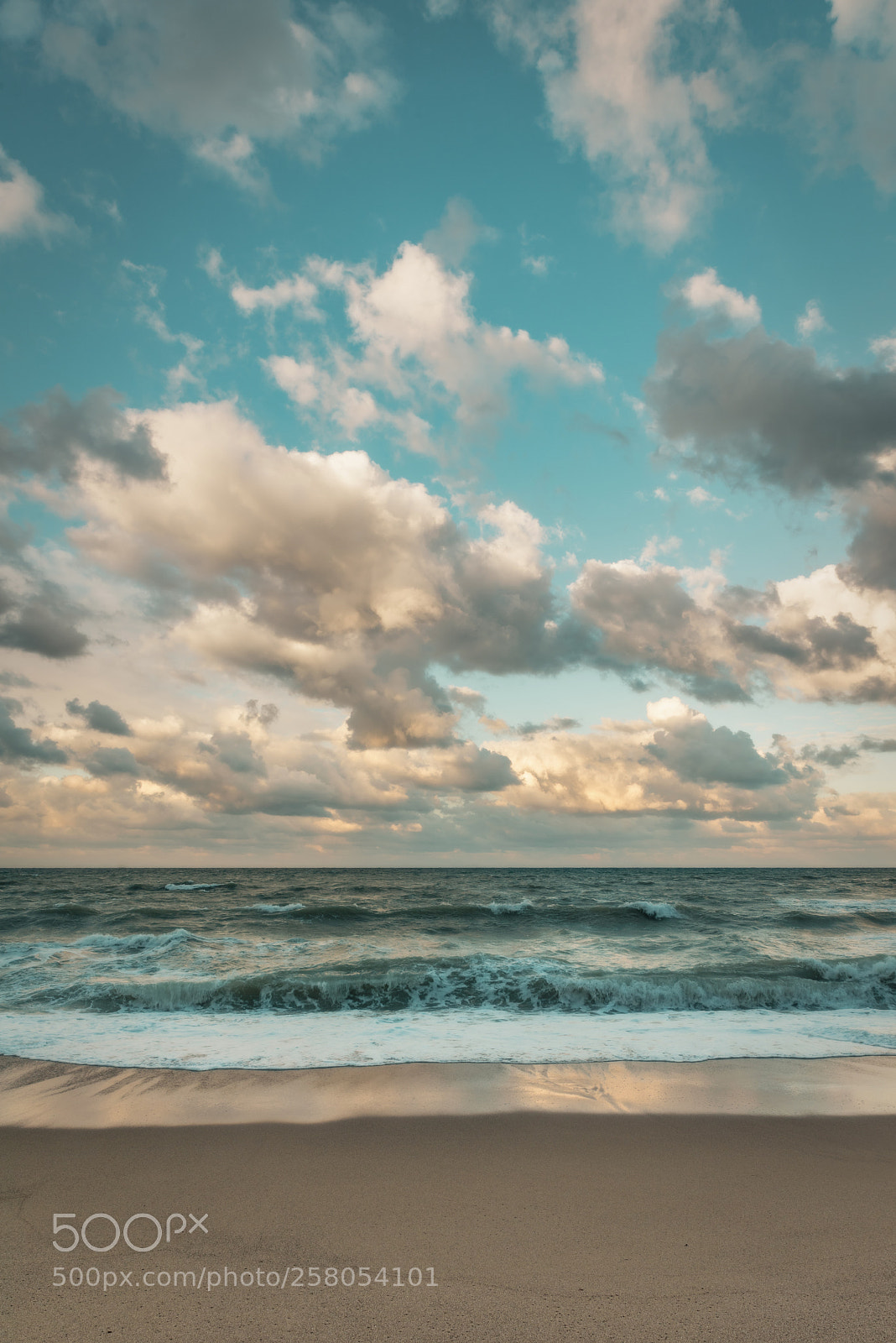 Nikon D750 sample photo. Winter sea photography