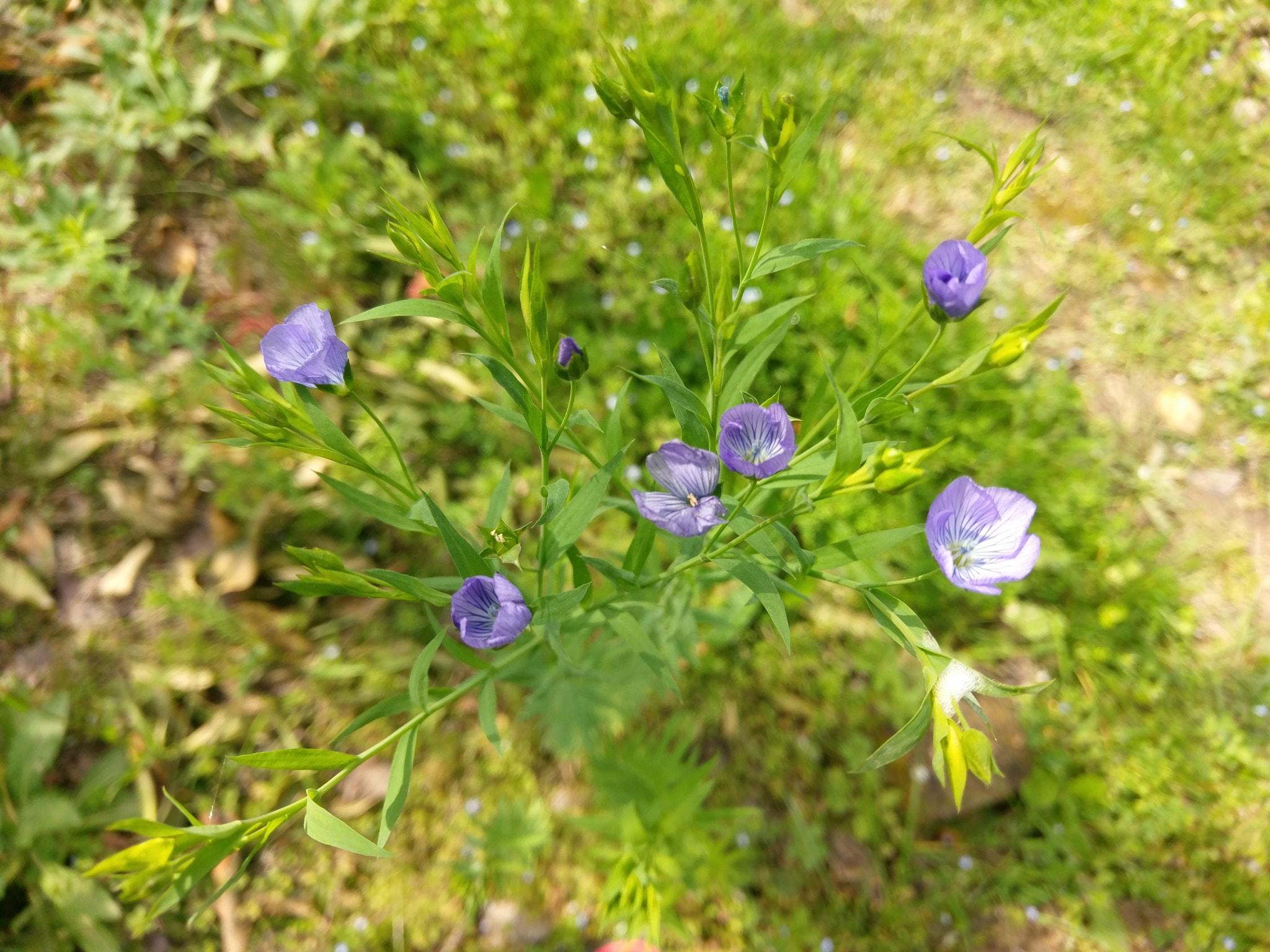 HTC 10 sample photo