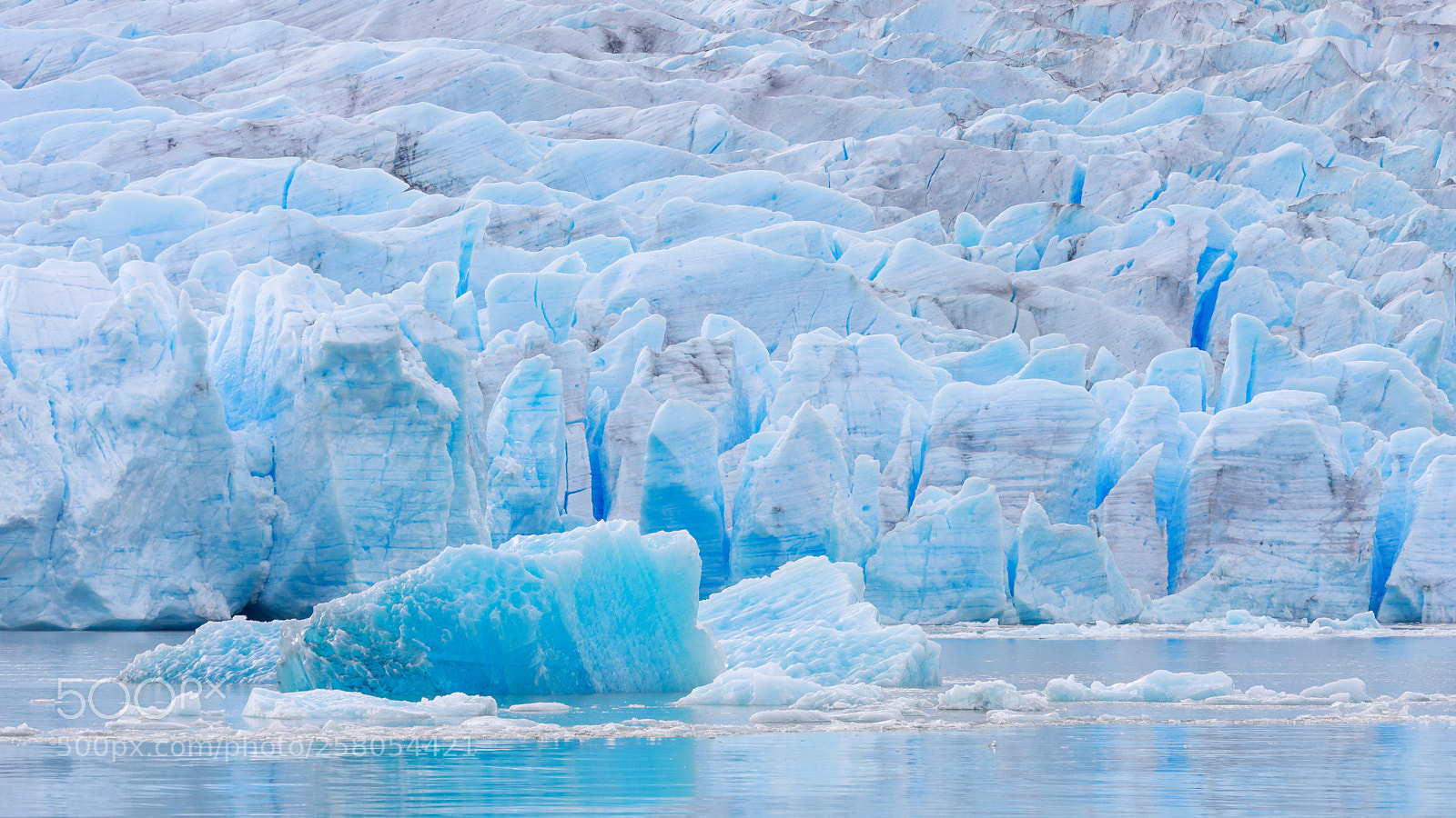 Canon EOS 5D Mark IV sample photo. Ice field of the photography