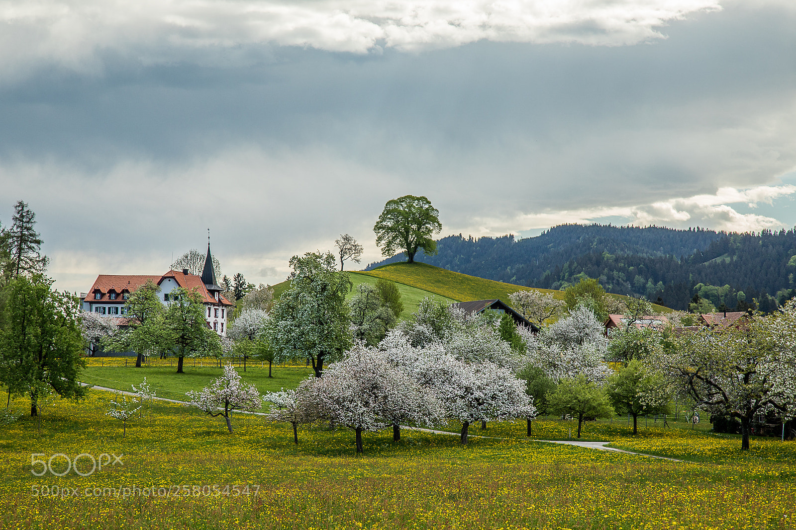 Canon EOS 5D Mark IV sample photo. The castle behind the photography