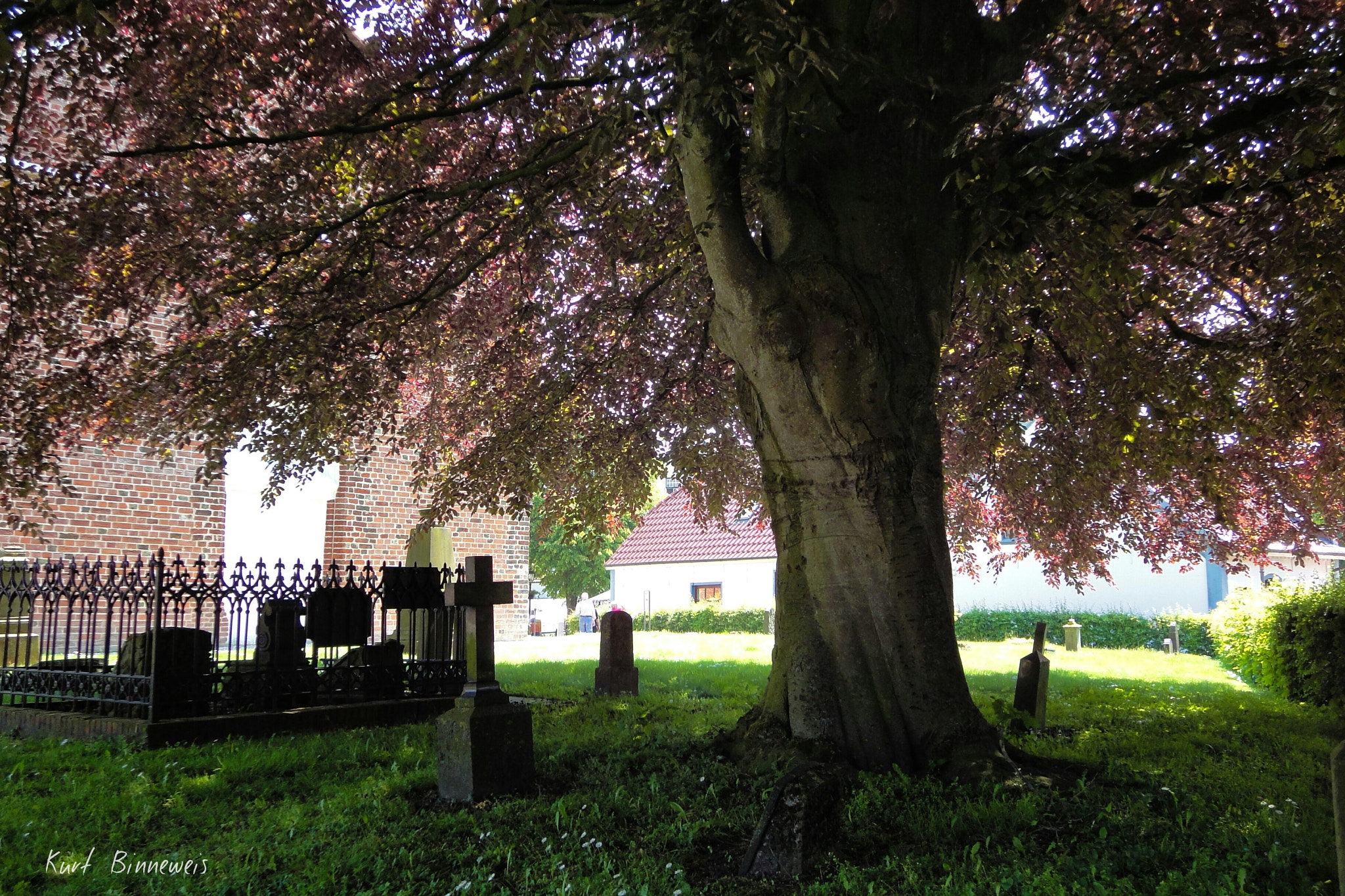 Sony Cyber-shot DSC-WX1 sample photo. "rest in peace, under a tree" photography