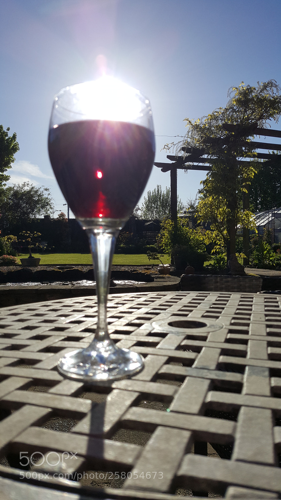 Samsung Galaxy S6 sample photo. Malbec photography