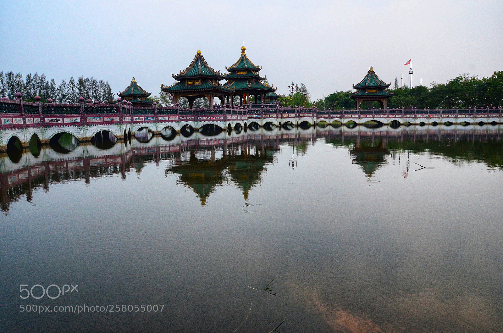 Nikon D7000 sample photo. Reflection photography