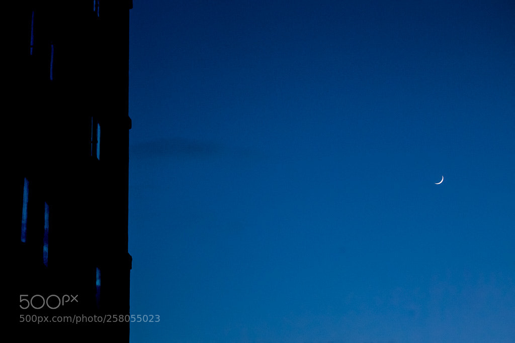 Canon EOS 6D sample photo. At night photography