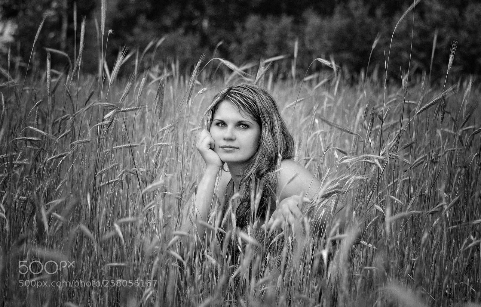 Nikon D3100 sample photo. In the ears of photography