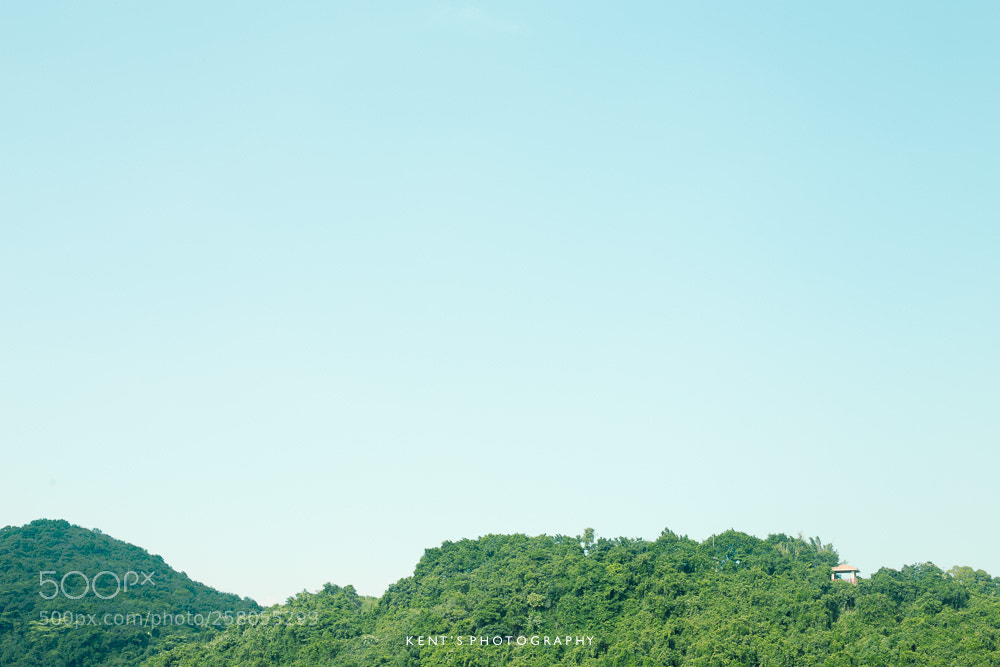 Canon EOS 6D sample photo. Summer day photography