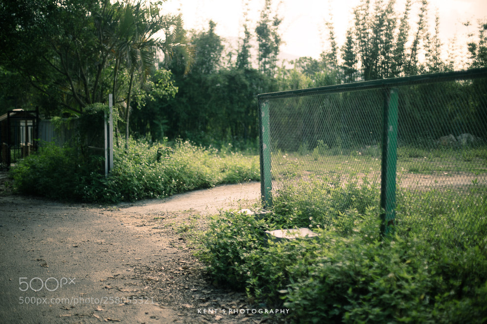 Canon EOS 6D sample photo. Summer day photography
