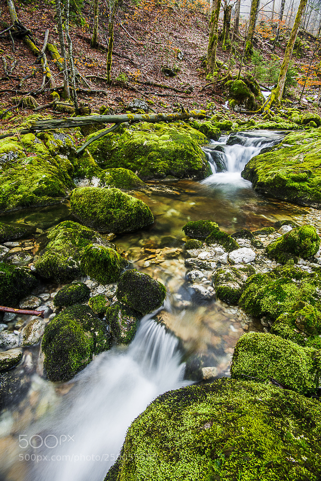 Nikon D800 sample photo. The source of lunz photography