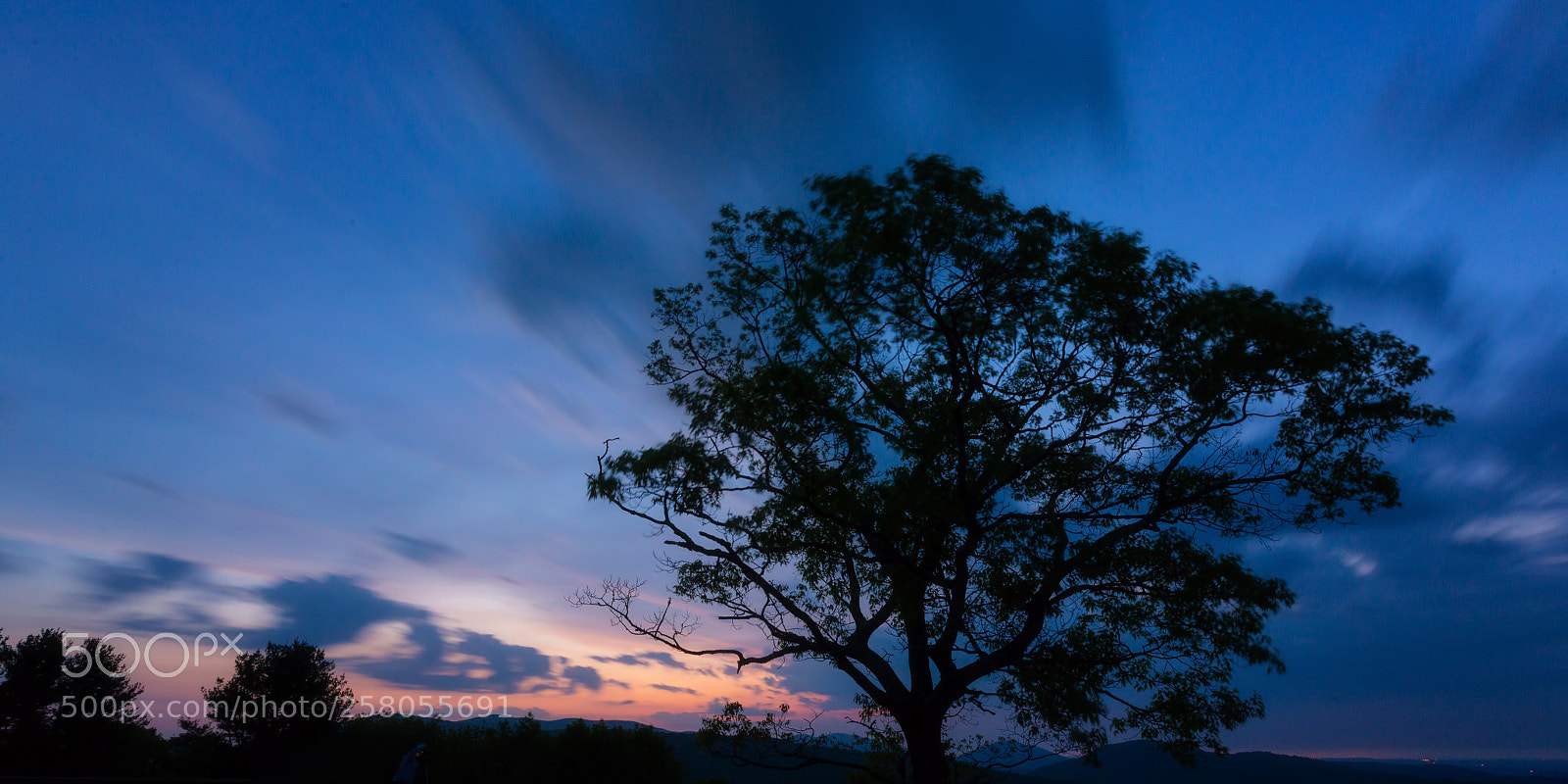 Nikon D800 sample photo. Shenandoah blue photography