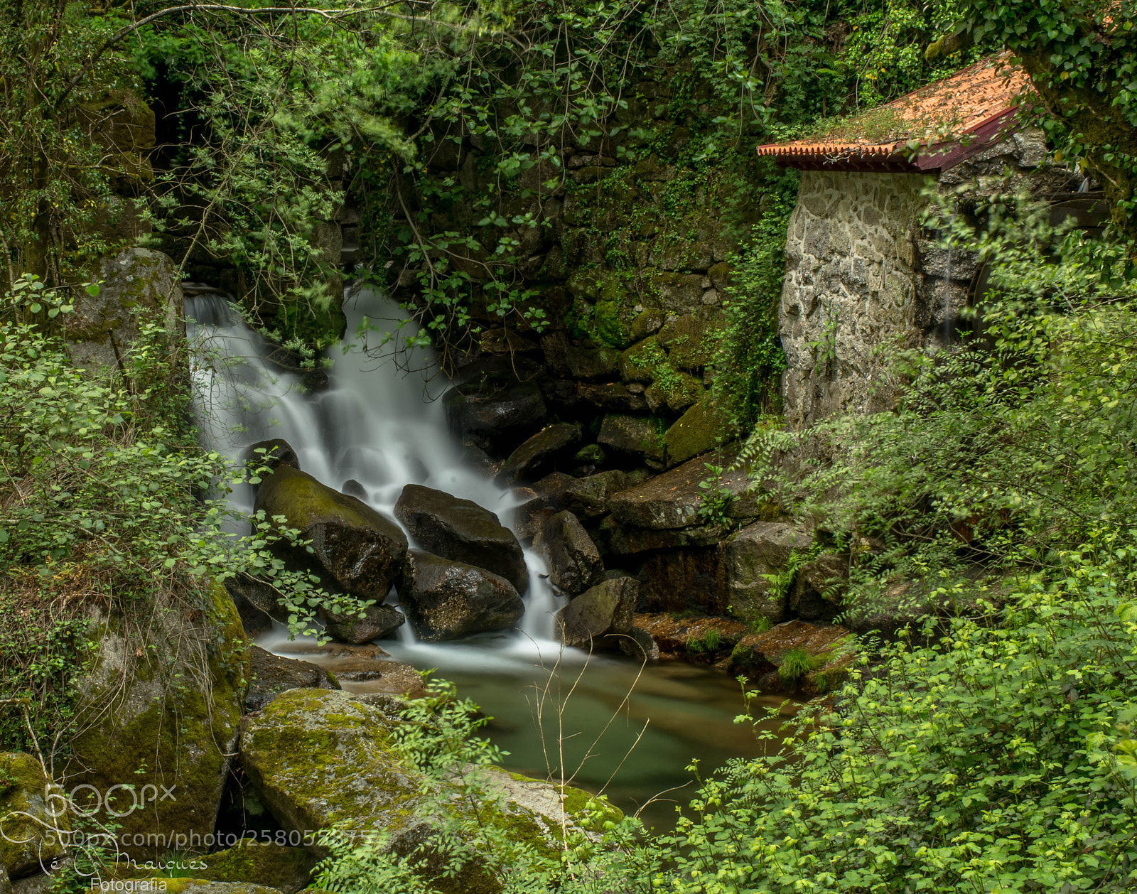 Nikon D7200 sample photo. The cascade house photography