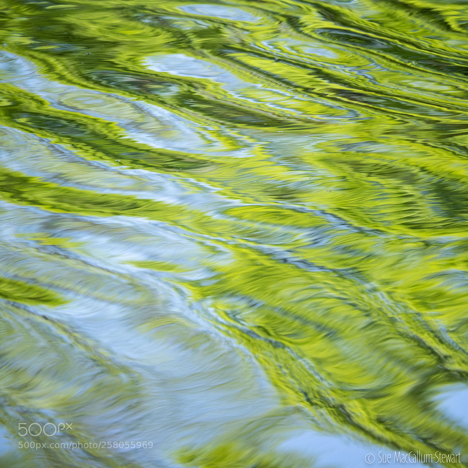 Olympus OM-D E-M1 Mark II sample photo. Reflecting photography