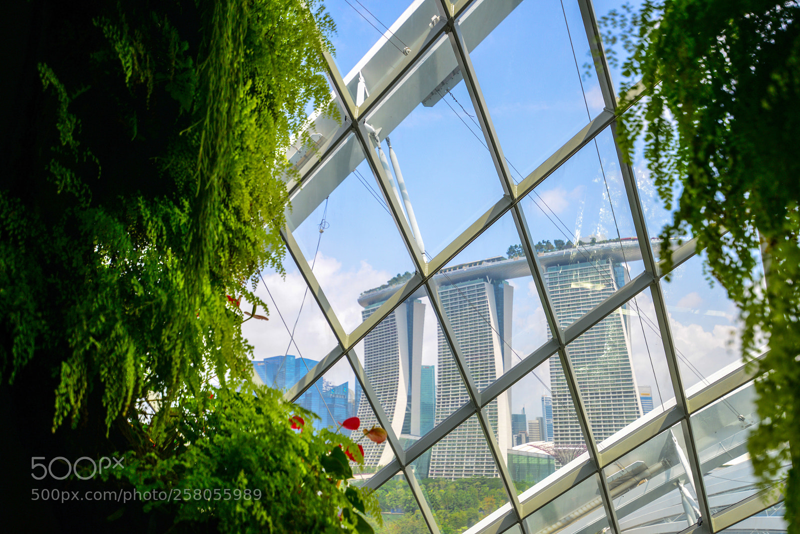 Nikon D800 sample photo. Singapore  photography